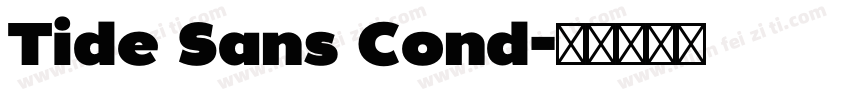 Tide Sans Cond字体转换